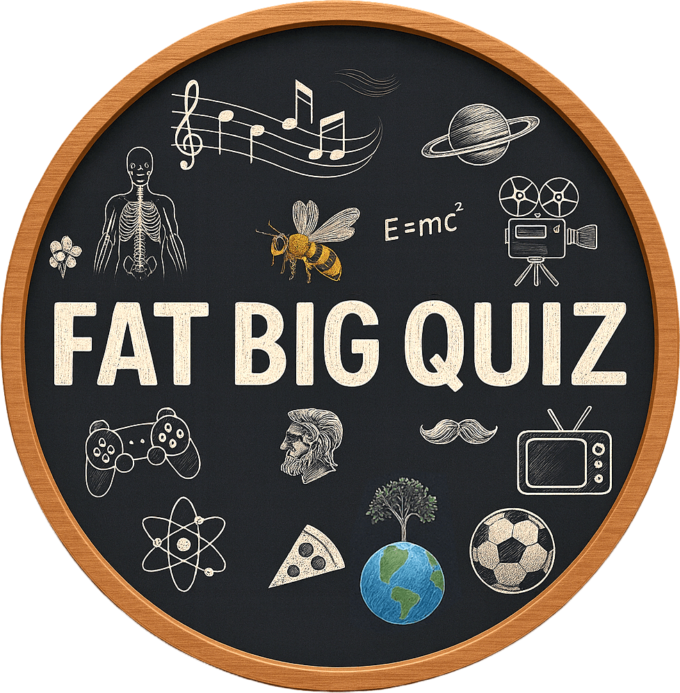 Fat Big Quiz